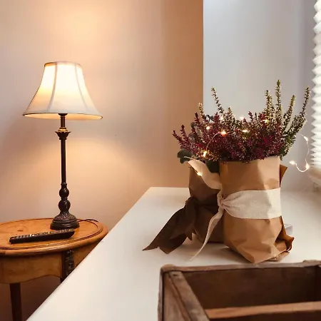 Altstadthus-gemuetliches Mit Gaertchen * Friedrichstadt